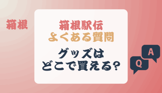 箱根駅伝グッズ2025いつから?販売時期や場所も!