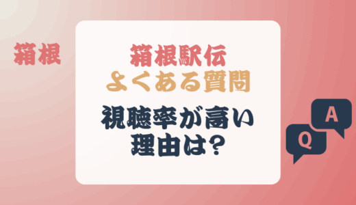 箱根駅伝の視聴率が高い理由を独断と偏見で7つあげてみた!