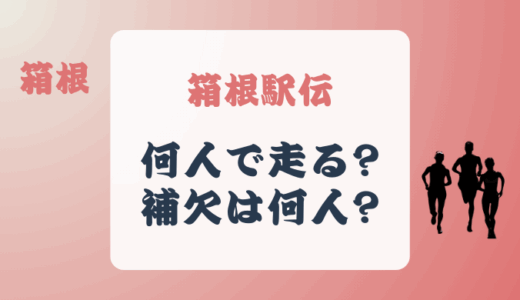 箱根駅伝は何人で走るの?補欠は何人で交代できる人数は?